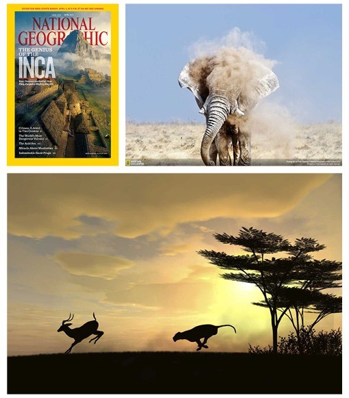 National Geographic: vast, stunning imagery of nature and wildlife; vibrant, contrasty, epic
