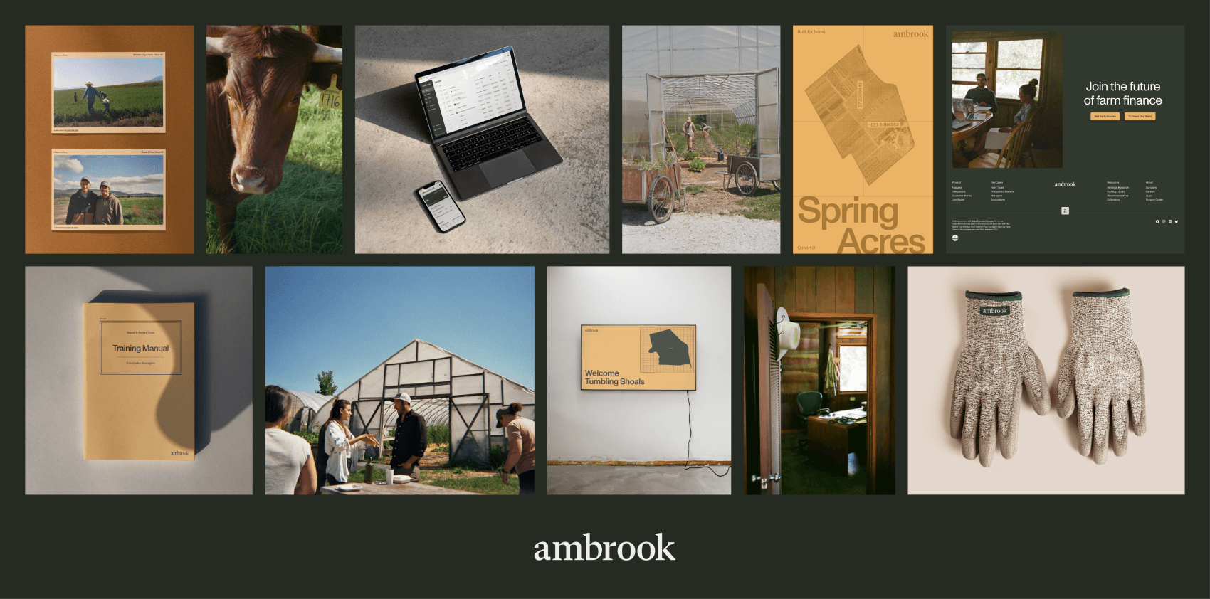 A collection of branded assets from Ambrook, featuring earthy tones and film photos from the team's site visits.